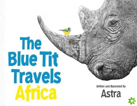 Blue Tit Travels - Africa