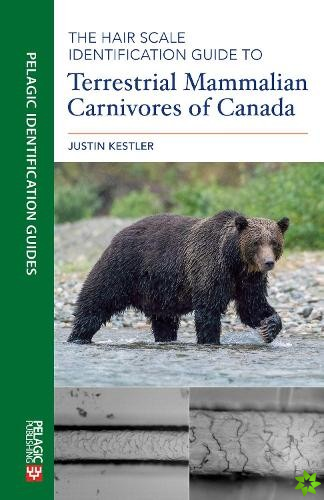 Hair Scale Identification Guide to Terrestrial Mammalian Carnivores of Canada