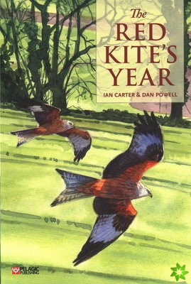 Red Kite's Year