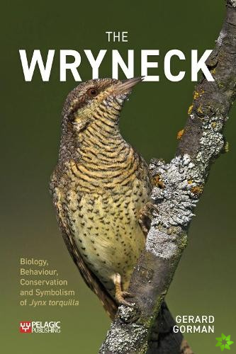 Wryneck