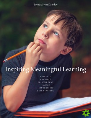 Inspiring Meaningful Learning