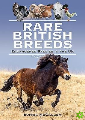 Rare British Breeds
