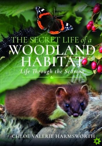 Secret Life of a Woodland Habitat