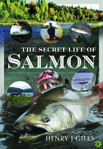 Secret Life of Salmon