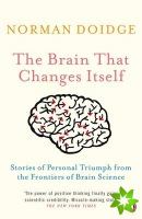 Brain That Changes Itself