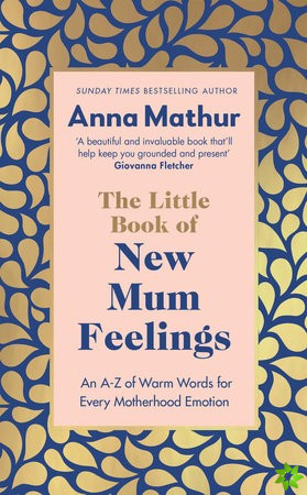 Little Book of New Mum Feelings
