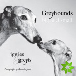 Greyhounds Big And Small