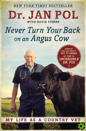 Never Turn Your Back On An Angus Cow