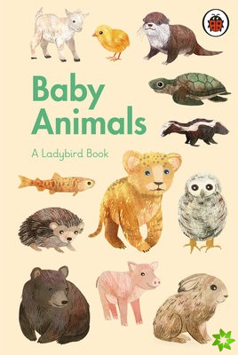 Ladybird Book: Baby Animals