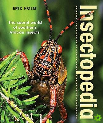 Insectopedia  The secret world of southern African insects