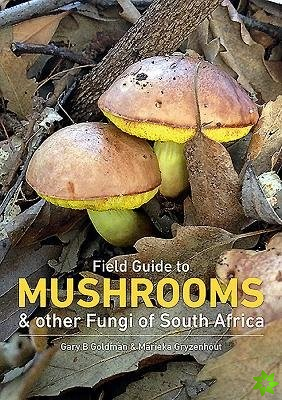 Mushrooms and Other Fungi in South Africa