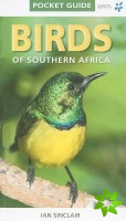 Pocket Guide Birds of Southern Africa