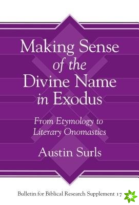Making Sense of the Divine Name in the Book of Exodus