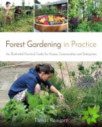 Forest Gardening in Practice: An Illustrated Practical Guide for Homes, Communities and Enterprises