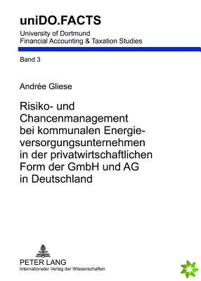 Risiko- Und Chancenmanagement Bei Kommunalen Energieversorgungsunternehmen in Der Privatwirtschaftlichen Form Der Gmbh Und AG in Deutschland