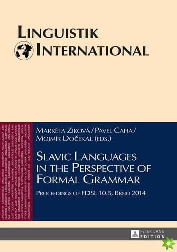 Slavic Languages in the Perspective of Formal Grammar