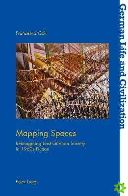 Mapping Spaces