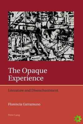 Opaque Experience