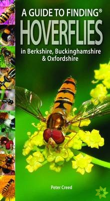 Guide to Finding Hoverflies in Berkshire, Buckinghamshire and Oxfordshire