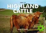 Spirit of Highland Cattle