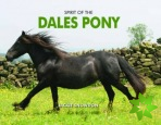 Spirit of the Dales Pony