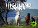 Spirit of the Highland Pony
