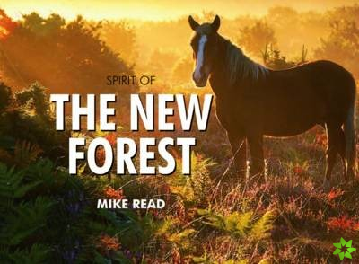 Spirit of the New Forest
