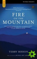 Fire On The Mountain