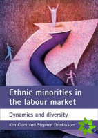 Ethnic minorities in the labour market