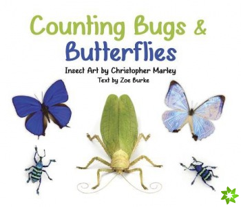 Counting Bugs & Butterflies Insect Art by Christopher Marley Board Book