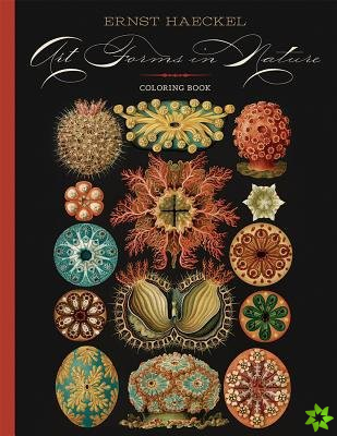 Ernst Haeckel Art Forms in Nature Coloring Book