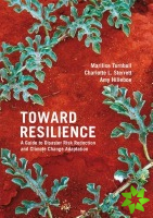 Toward Resilience