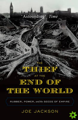Thief at the End of the World