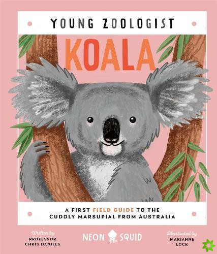 Koala (Young Zoologist)