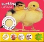 Touch, Feel and Listen - Duckling and Friends