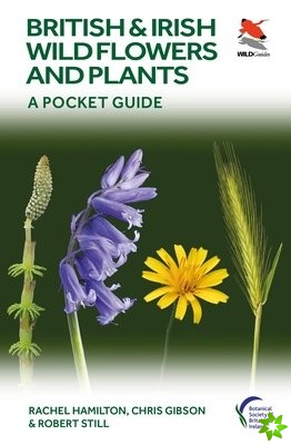 British and Irish Wild Flowers and Plants