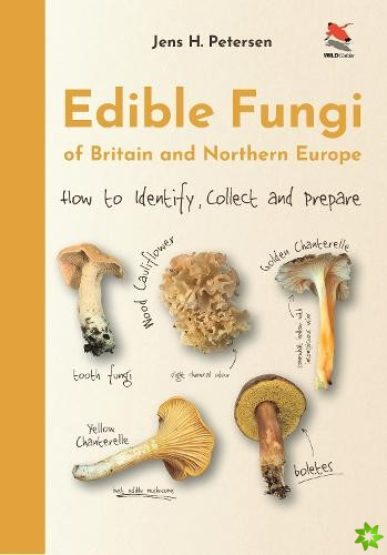 Edible Fungi of Britain and Northern Europe