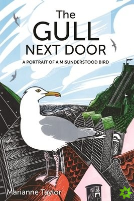 Gull Next Door