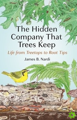 Hidden Company That Trees Keep