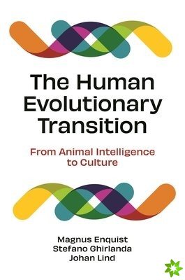 Human Evolutionary Transition