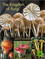 Kingdom of Fungi