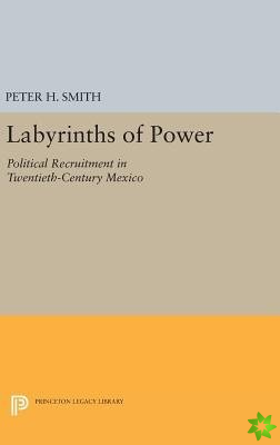 Labyrinths of Power