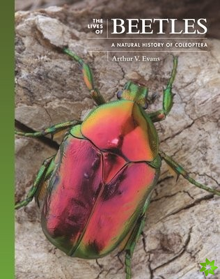 Lives of Beetles