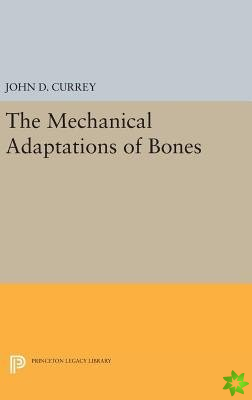 Mechanical Adaptations of Bones