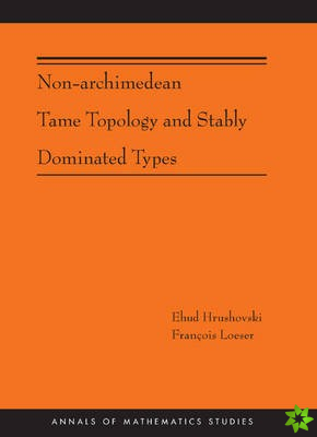 Non-Archimedean Tame Topology and Stably Dominated Types (AM-192)