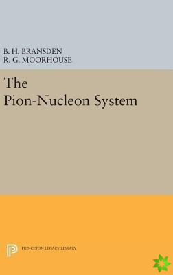 Pion-Nucleon System