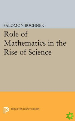 Role of Mathematics in the Rise of Science