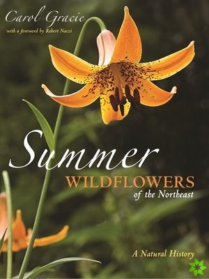 Summer Wildflowers of the Northeast