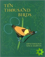Ten Thousand Birds