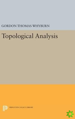 Topological Analysis